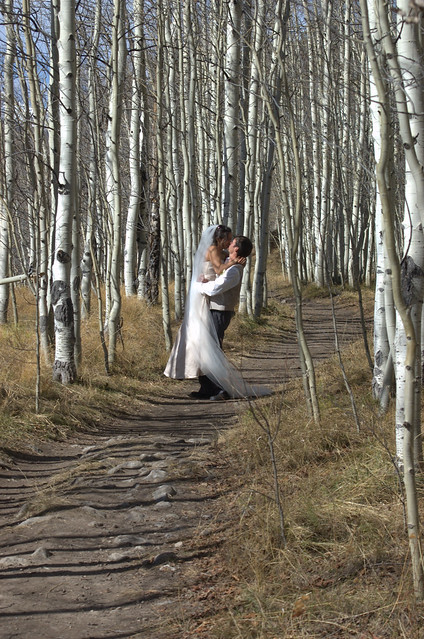 Aspen Forest Wedding Crested Butte Colorado