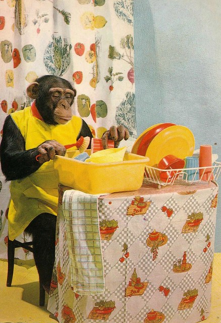 pc chimpansee 1970