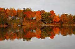 Fall Colors at the cottage