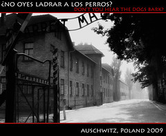 Auschwitz • Birkenau