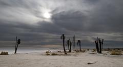 2009-12 Salton Sea