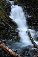 Alaska - Hike to Upper Winner Creek Trail and Twentymile Creek Wilderness