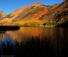 E. Sierra Fall Colors