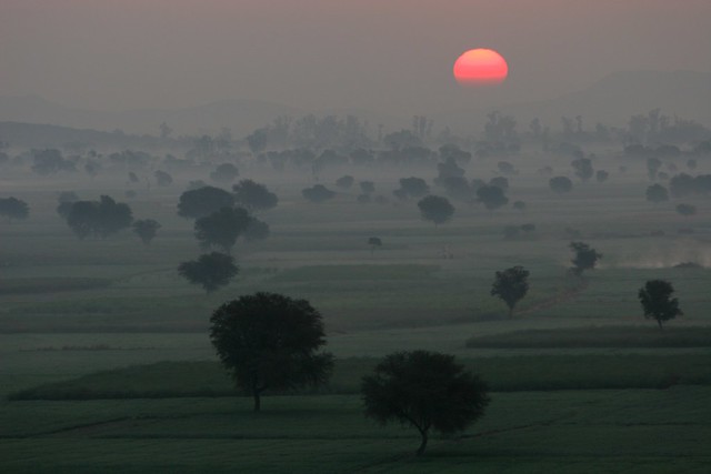 Inde du nord: le jour se lève sur la campagne du  Rajasthan.