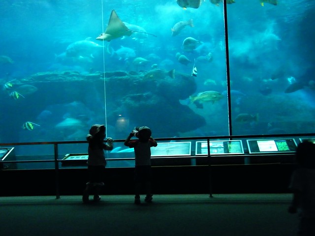 Aquarium at Minami Chita Beachland 