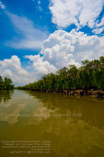 the colours of Hangsharaj............ [Sundarbans, Khulna, Bangladesh]