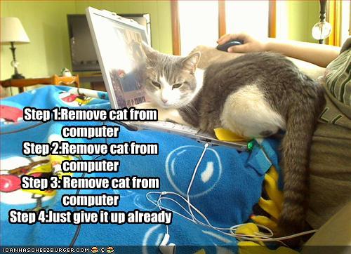 funny-pictures-cat-is-on-your-computer