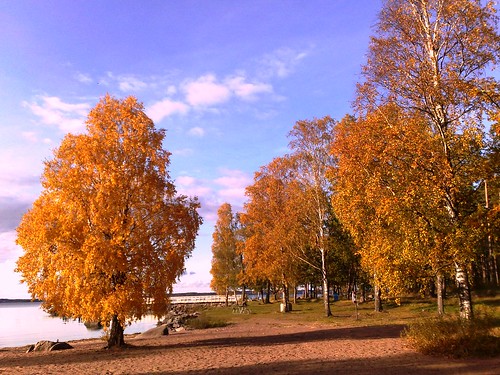 Fall at Lake Vänern in Sweden #1