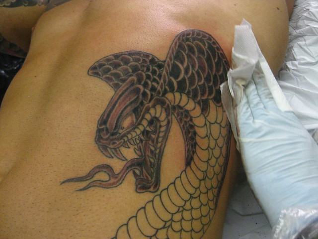 kobra tatuagens 