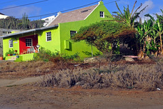 Aruba 2009 