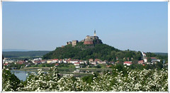 Burg Güssing  (A)  Németújvár B