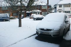 Snow - December 2009