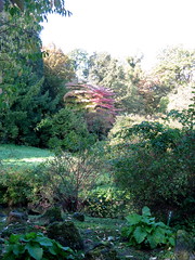 Herbststimmung im Schlosspark