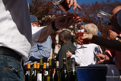 8th Annual Decatur Wine Festival