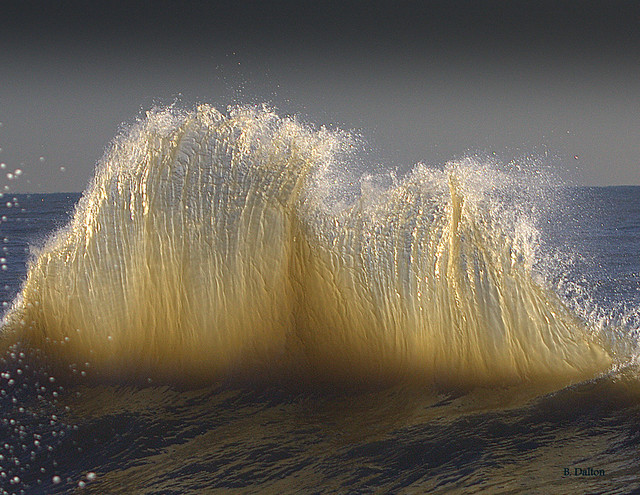 Sand & Sea ~ Curtin Wave*