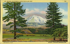 Vintage Postcards 2