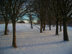 Winter walk 2009