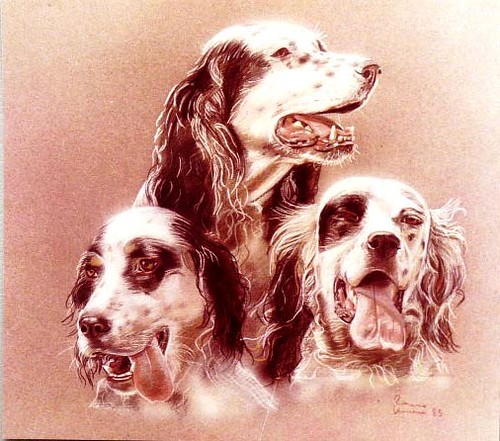 triade di cani