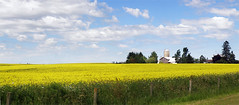 Rural Ontario Countryside
