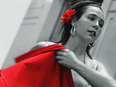 08| Flamenco 2008