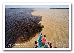 Encontro das Águas, Manaus