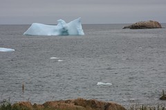 July Icebergs