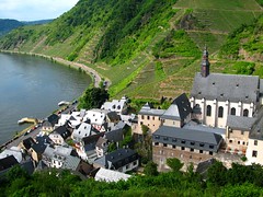 Mosel River 