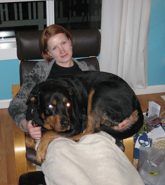 One 140 pound woman and a 100 pound dog. can fit into a single chair