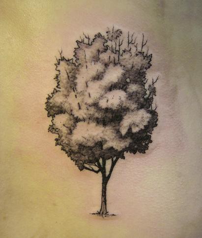 tree tattoos By Gene Coffey at Tattoo Culture tattooculturenet 
