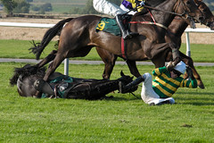 AP McCoy Falls During Horse Race