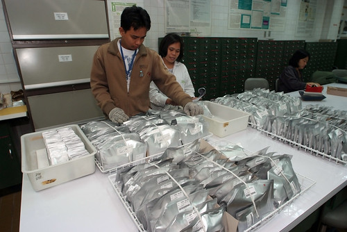 International Rice
Research Institute Employees Preparing Packets to Ship to
Svalbard