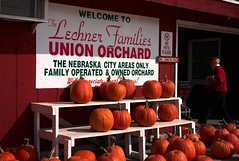 Union Orchard, Autumn, 2009