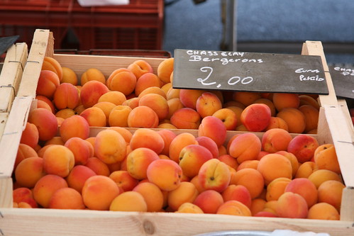 French apricots, Marche de Saint-Antoine, Lyon