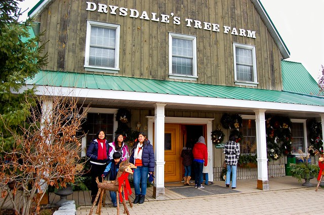 Drysdale's Christmas Tree Farm in Essa, Ontario