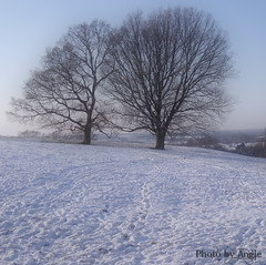 Winter in Kent 2009/10