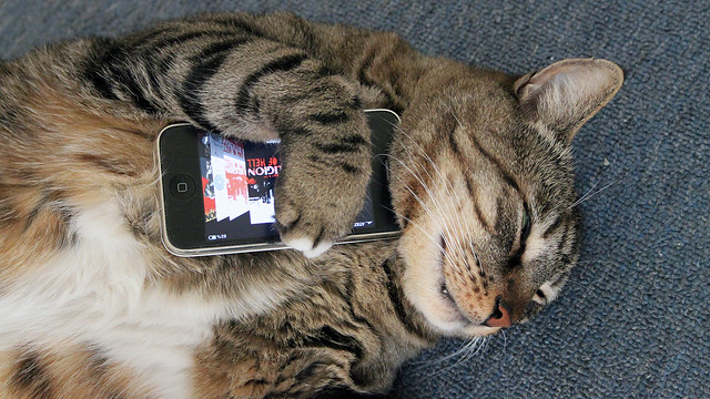 Meatloaf Loves His iPhone