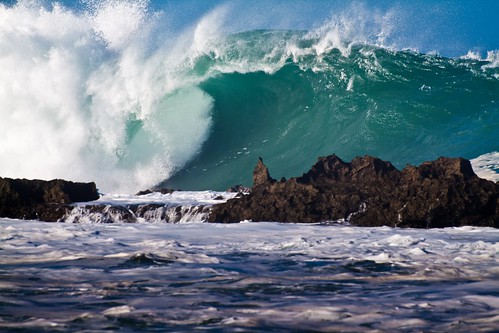 Hawaii Large Wave, North Shore