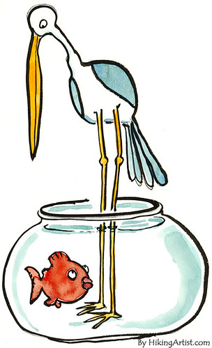 fish-bird-fishbowl