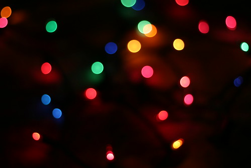 Twinkle, twinkle, christmas lights!