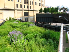 High Line, NYC: Northern spur, now deadends into building by Vilseskogen, on Flickr
