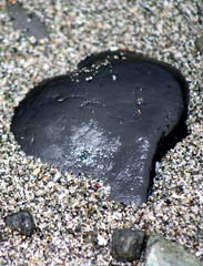 Heart Shapes in Nature