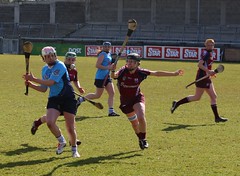 Camogie 2010