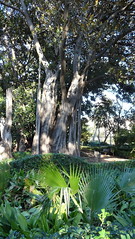 Jardín de Ayora - Valencia