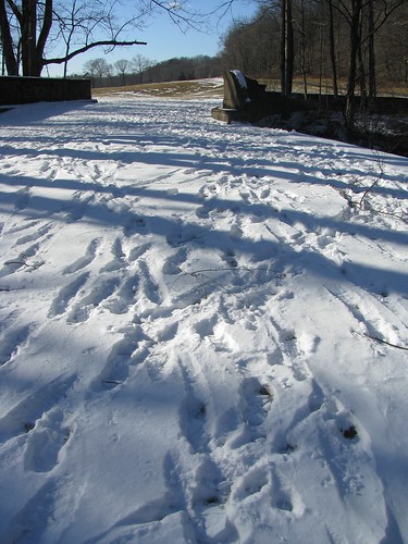 Footsteps in the snow, Natirar, Peapack-Gladstone, New Jersey by Bogdan Migulski