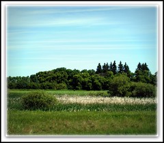 Dry Prairie Landscapes of Manitoba
