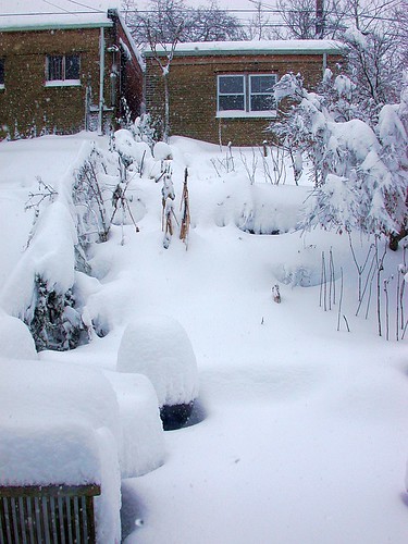 The big blizzard of 2010.