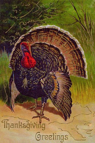 Vintage Turkey lookin' fly