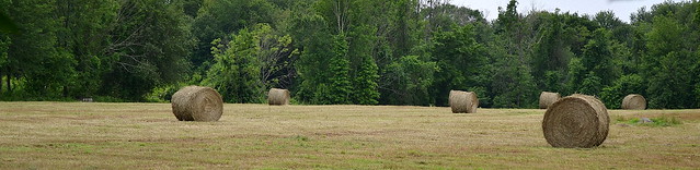Hay Field at Beecher and Center Roads - Woodbridge, Connecticut