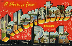 National, State, County, and City Parks Large Letter Postcards