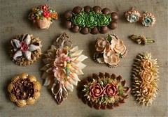 seashell jewelry collection